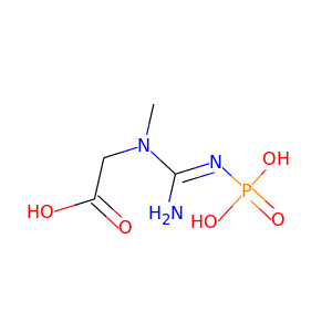 creatine phosphate